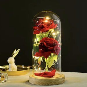 1pc Rose w/ LED Light Up Solid Wood Base Glass Cover